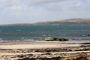 From Galway: Connemara and Kylemore Abbey Day Tour