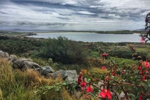 From Galway: Connemara and Kylemore Abbey Day Tour