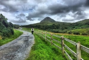 From Galway: Connemara and Kylemore Abbey Day Tour
