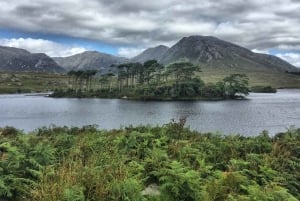 From Galway: Connemara and Kylemore Abbey Day Tour