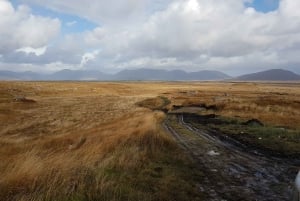 From Galway: Connemara and Kylemore Abbey Day Tour