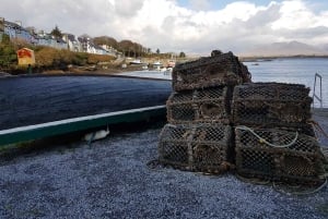 From Galway: Connemara and Kylemore Abbey Day Tour