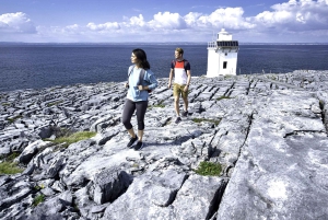 Fra Galway: Connemara, Aranøyene, cruise og Burren-tur