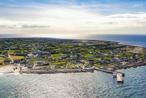 Fra Galway: Connemara, Aranøyene, cruise og Burren-tur