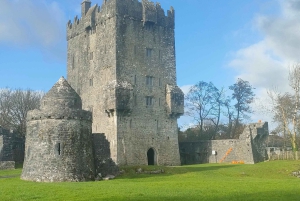 From Galway: Connemara, Kylemore Abbey & Castles 1 Day Tour