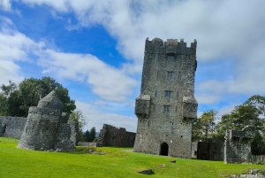 From Galway: Connemara, Kylemore Abbey & Castles 1 Day Tour