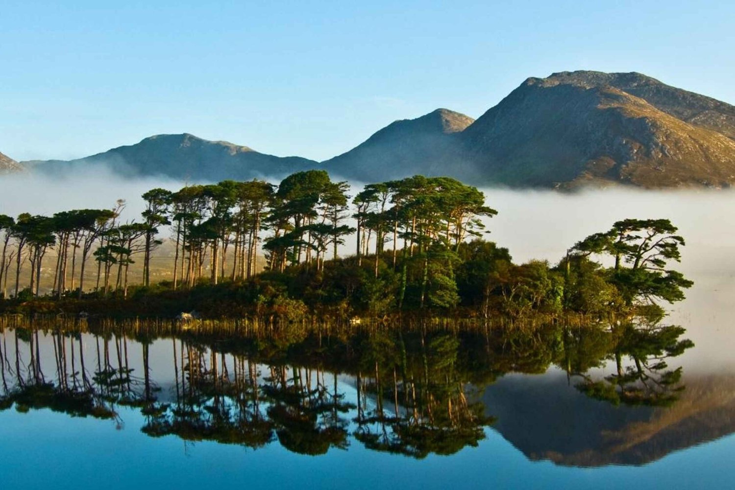 Z Galway: Connemara, opactwo Kylemore lub wycieczka po parku narodowym