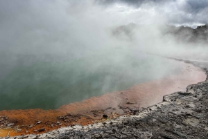 Однодневная экскурсия из Гамильтона: ВАЙ-О-ТАПУ, красное дерево и голубые источники