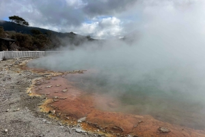 Однодневная экскурсия из Гамильтона: ВАЙ-О-ТАПУ, красное дерево и голубые источники