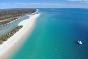 Vanuit Hervey Bay: Halve dag K'gari Fraser Island strandcruise