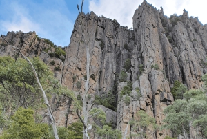De Hobart: Excursão a pé pela manhã em Mt Wellington