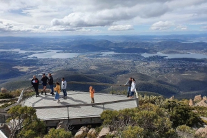 De Hobart: Excursão a pé pela manhã em Mt Wellington