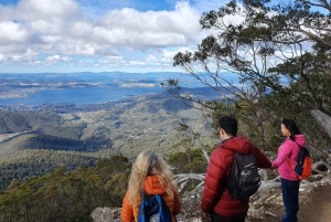 De Hobart: Excursão a pé pela manhã em Mt Wellington
