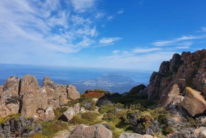 De Hobart: Excursão a pé pela manhã em Mt Wellington