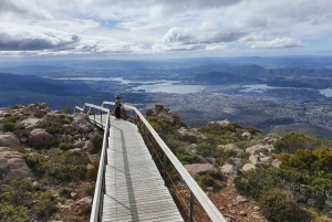 De Hobart: Excursão a pé pela manhã em Mt Wellington