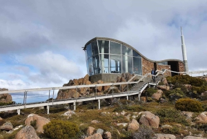 De Hobart: Excursão a pé pela manhã em Mt Wellington