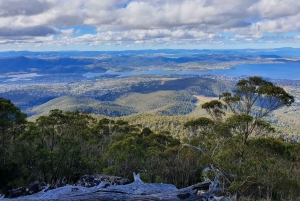 De Hobart: Excursão a pé pela manhã em Mt Wellington