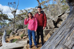 De Hobart: Excursão a pé pela manhã em Mt Wellington