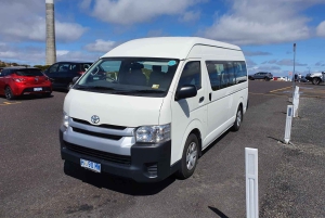 De Hobart: Excursão a pé pela manhã em Mt Wellington