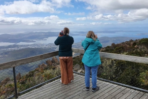 De Hobart: Excursão a pé pela manhã em Mt Wellington