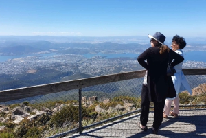 De Hobart: Excursão a pé pela manhã em Mt Wellington