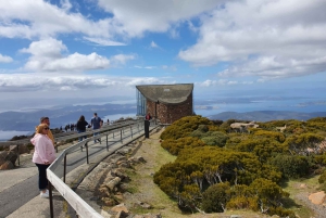 De Hobart: Excursão a pé pela manhã em Mt Wellington