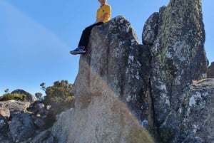 De Hobart: Excursão a pé pela manhã em Mt Wellington