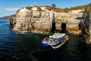 Fra Hobart: Port Arthur Cape Raoul Wilderness Cruise