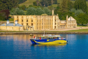 Fra Hobart: Port Arthur Cape Raoul Wilderness Cruise