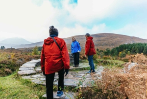 From Inverness: Glen Affric, Culloden, and Clava Cairns Tour