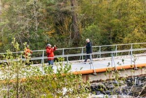 From Inverness: Glen Affric, Culloden, and Clava Cairns Tour