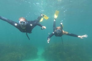 Из Ли: продвинутый тур по подводному плаванию с гидом на Козьем острове