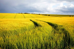 De Londres: Viagem de 1 dia a Stonehenge e Bath com ingresso