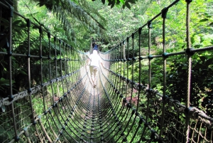 Da Londra: Tour privato di 3 giorni di Stonehenge e Cornovaglia