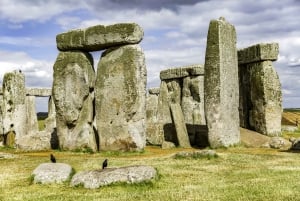 De Londres: Excursão de meio dia a Stonehenge