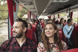 De Londres: Excursão de meio dia a Stonehenge