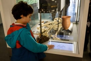 De Londres: Excursão de meio dia a Stonehenge