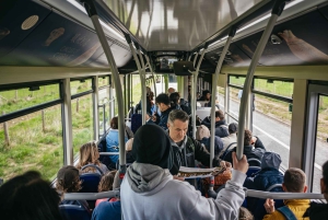 Au départ de Londres : excursion d'une demi-journée à Stonehenge avec option 'Snack Pack'.