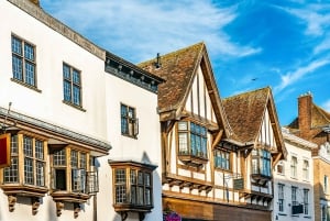 Desde Londres: Excursión de un día a los Acantilados Blancos de Dover y Canterbury