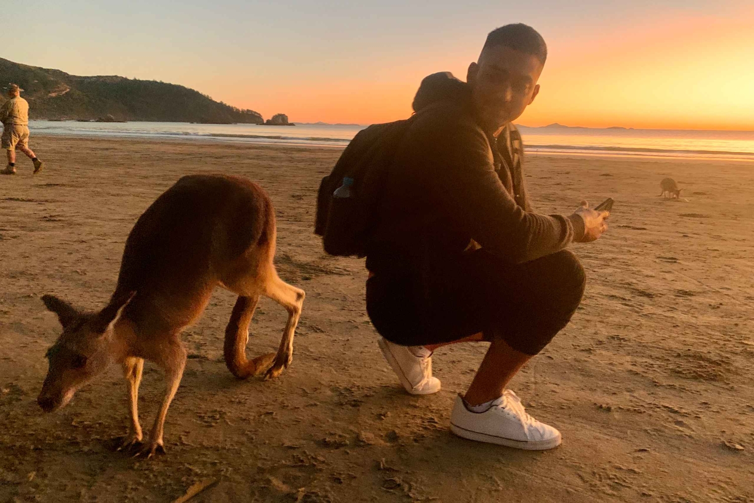 Fra Mackay: Wallabies på stranden soloppgangstur