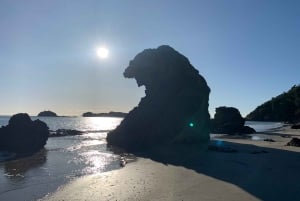 Fra Mackay: Wallabies på stranden soloppgangstur