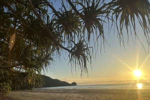 Fra Mackay: Wallabies på stranden soloppgangstur