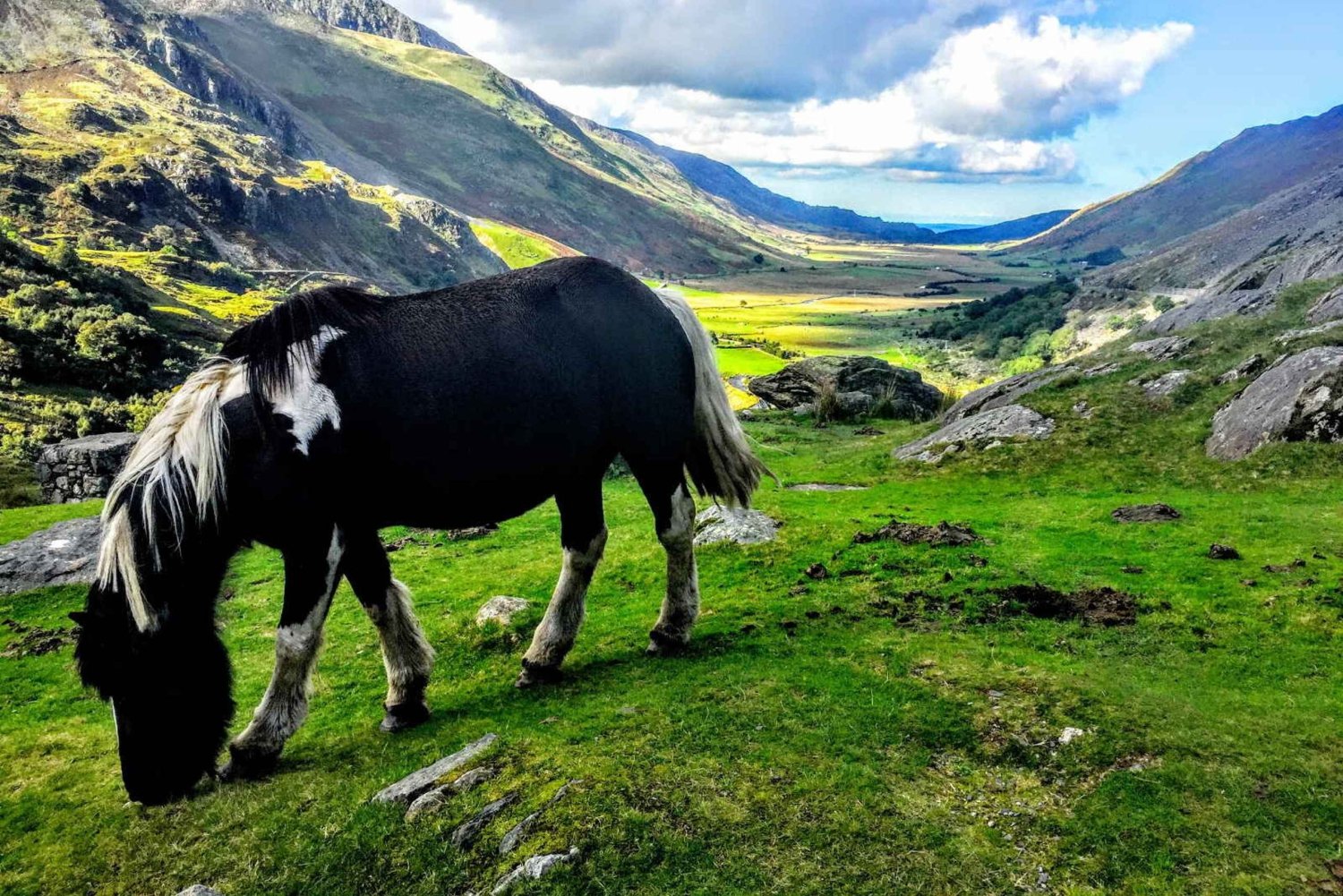 Manchesterista: Pohjois-Walesin nähtävyyksien päiväkierros