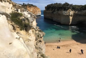 Z Melbourne: Great Ocean Road Premium Tour in Reverse
