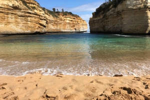 Z Melbourne: Great Ocean Road Premium Tour in Reverse