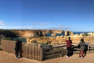 Z Melbourne: Great Ocean Road Premium Tour in Reverse