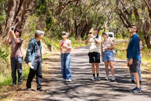 Z Melbourne: Great Ocean Road Premium Tour in Reverse