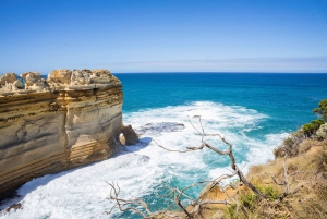 Z Melbourne: Great Ocean Road Premium Tour in Reverse
