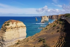 Da Melbourne: l'ultimo tour di 2 giorni della Great Ocean Road
