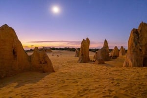 Från Perth: Pinnacles solnedgång och stjärnskådningstur med middag